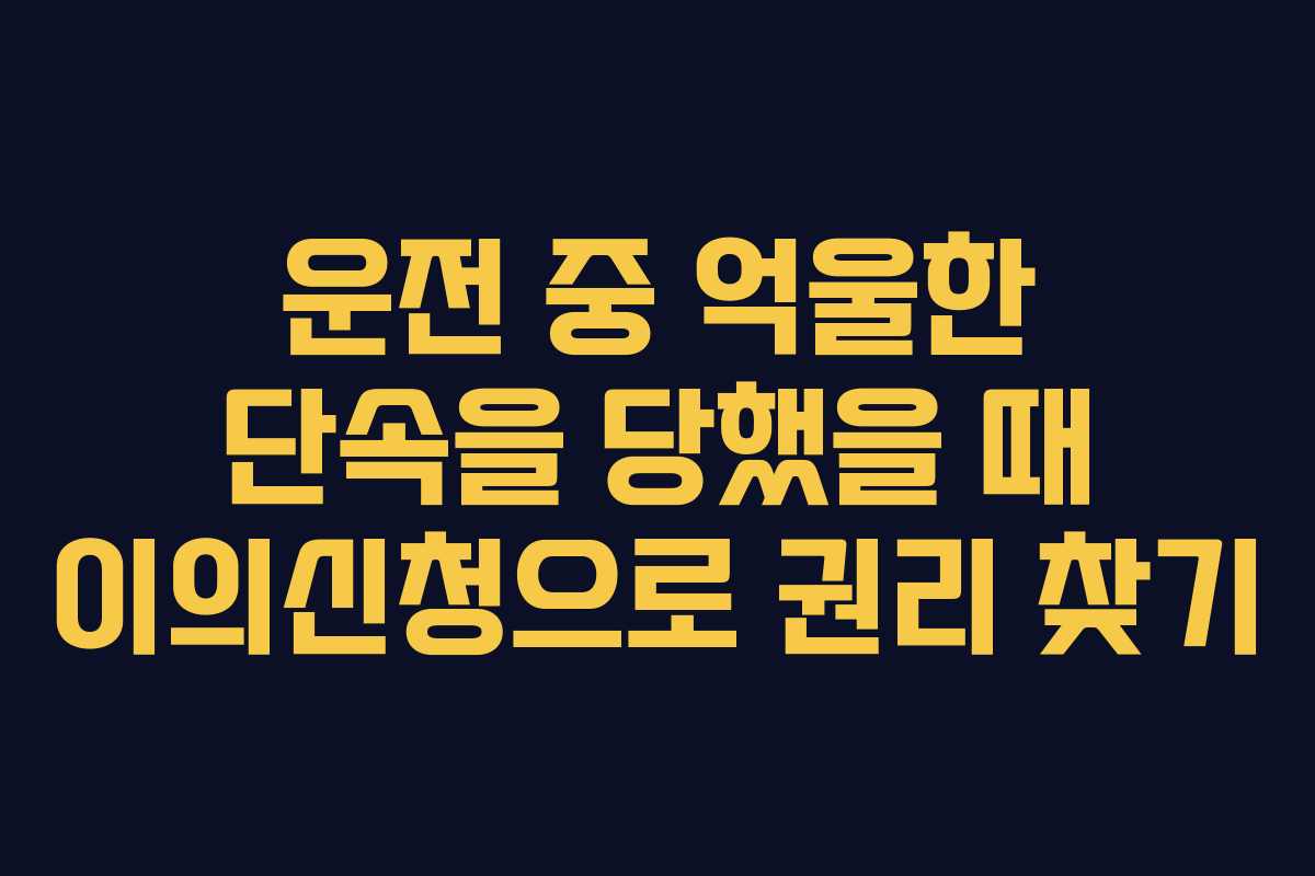 운전 중 억울한 단속을 당했을 때 이의신청으로 권리 찾기