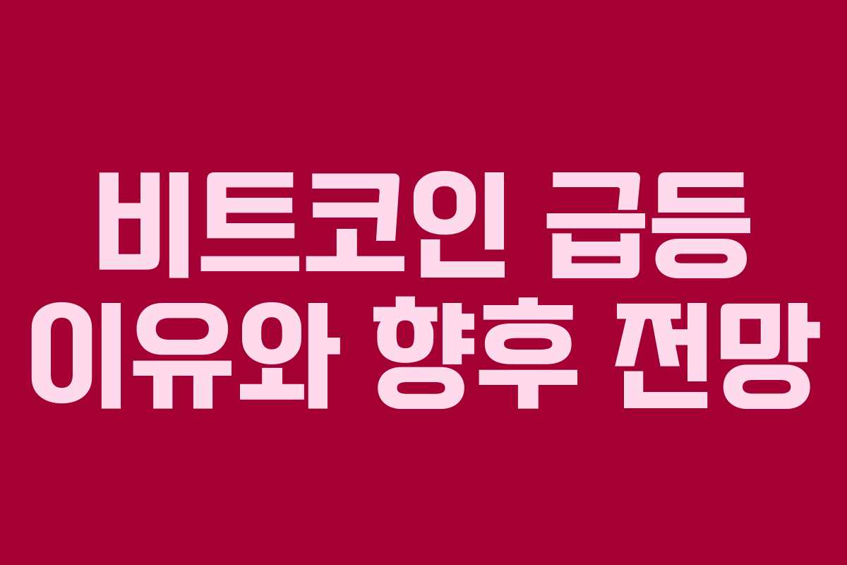 비트코인 급등 이유와 향후 전망