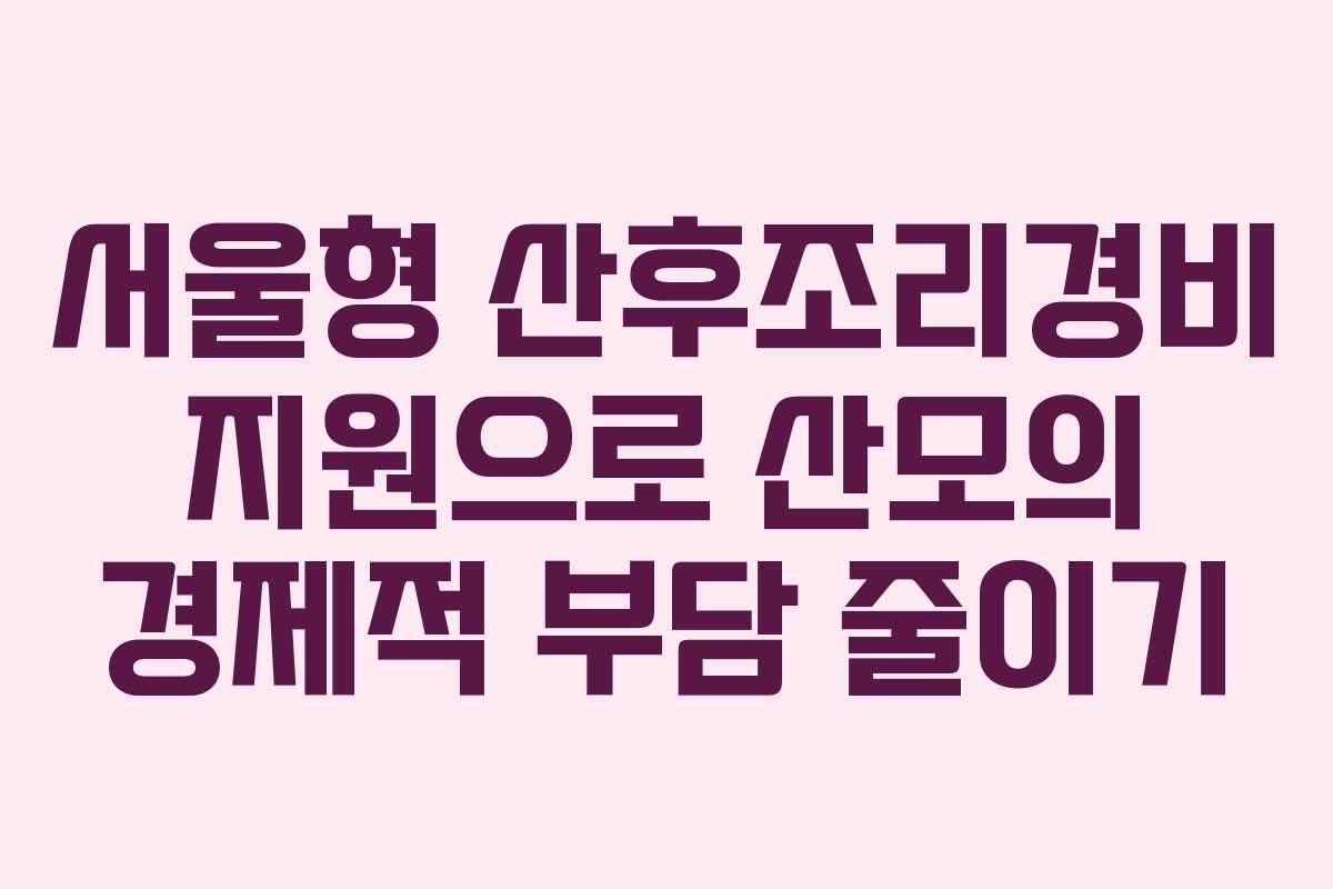 서울형 산후조리경비 지원으로 산모의 경제적 부담 줄이기