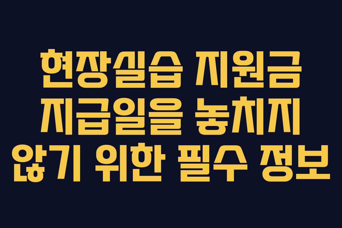 현장실습 지원금 지급일을 놓치지 않기 위한 필수 정보