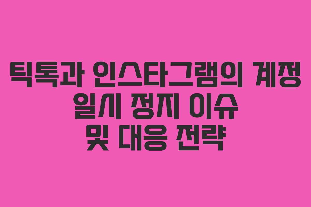 틱톡과 인스타그램의 계정 일시 정지 이슈 및 대응 전략