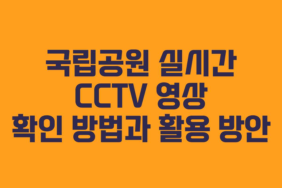 국립공원 실시간 CCTV 영상 확인 방법과 활용 방안