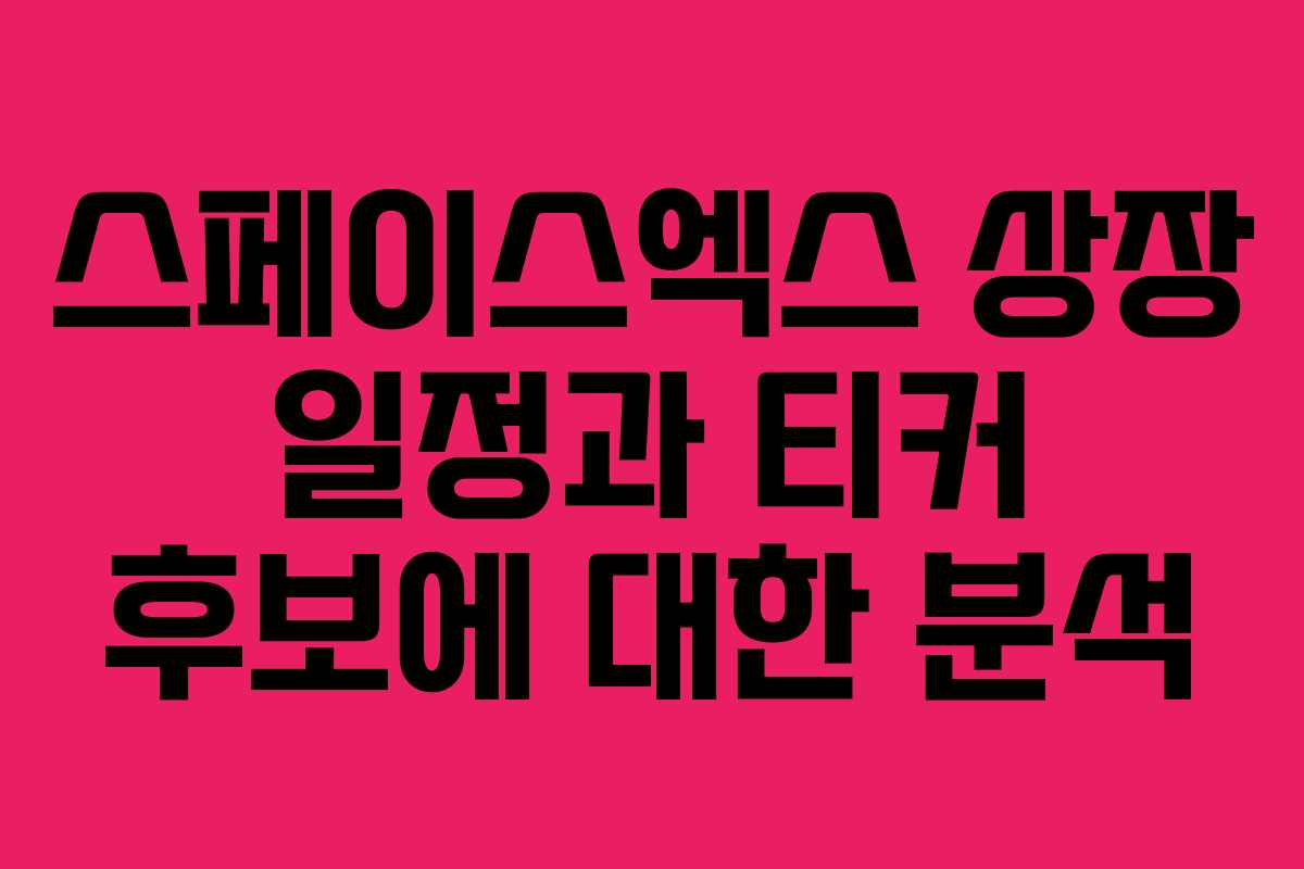 스페이스엑스 상장 일정과 티커 후보에 대한 분석