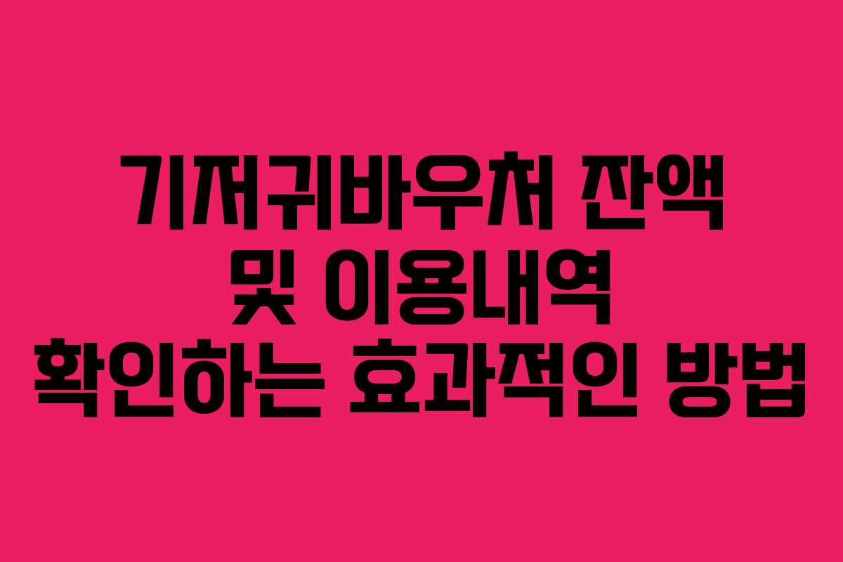 기저귀바우처 잔액 및 이용내역 확인하는 효과적인 방법