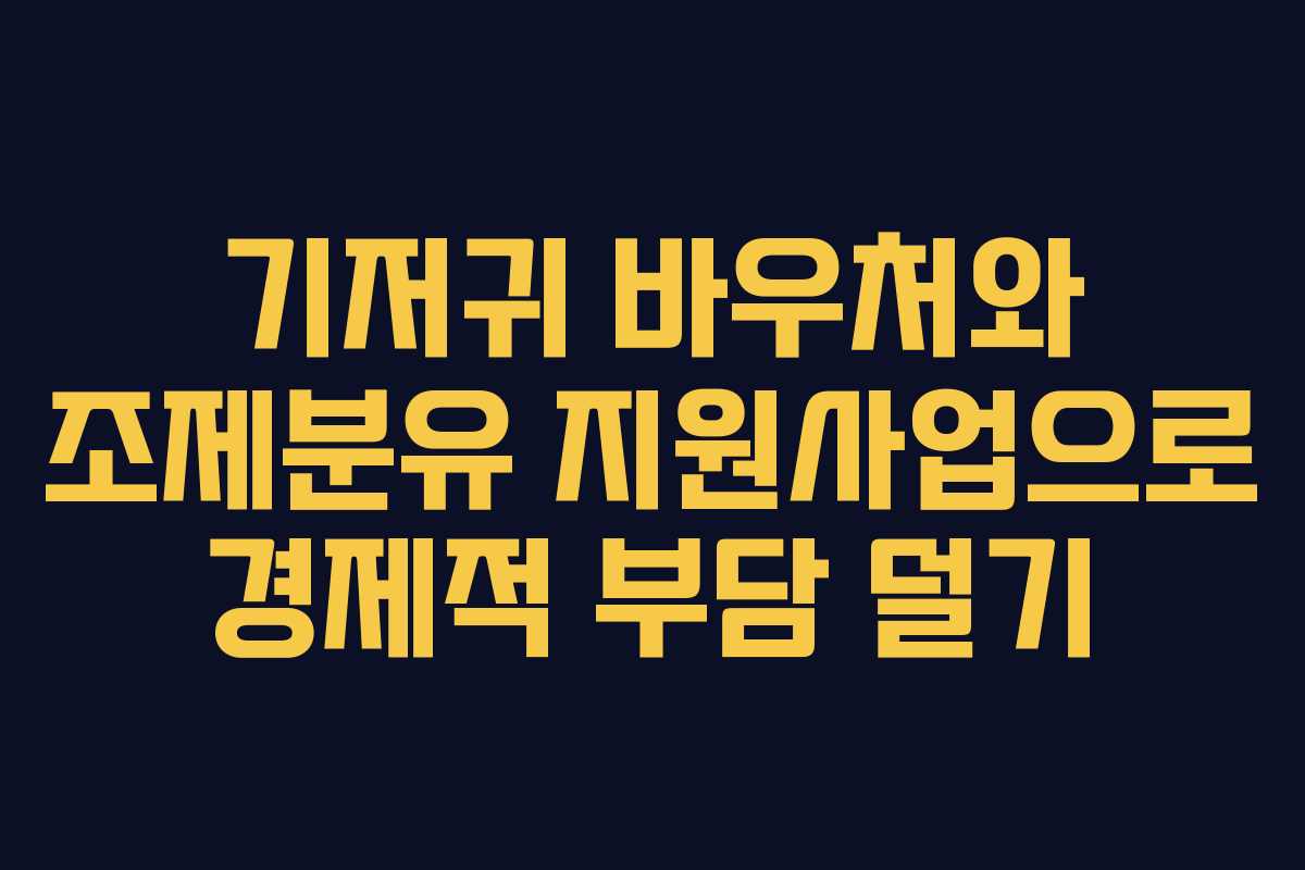 기저귀 바우처와 조제분유 지원사업으로 경제적 부담 덜기