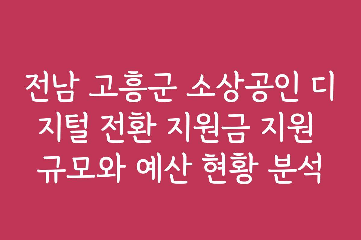 전남 고흥군 소상공인 디지털 전환 지원금 지원 규모와 예산 현황 분석