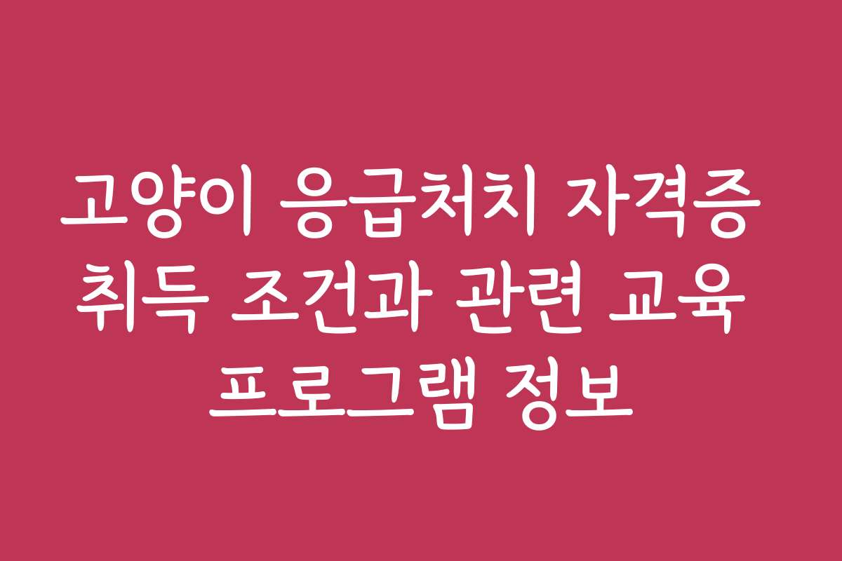 고양이 응급처치 자격증 취득 조건과 관련 교육 프로그램 정보