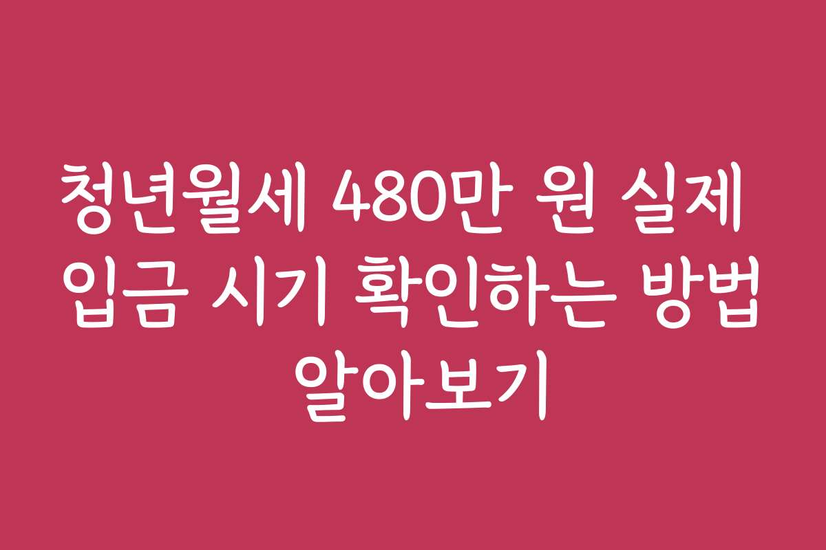 청년월세 480만 원 실제 입금 시기 확인하는 방법 알아보기