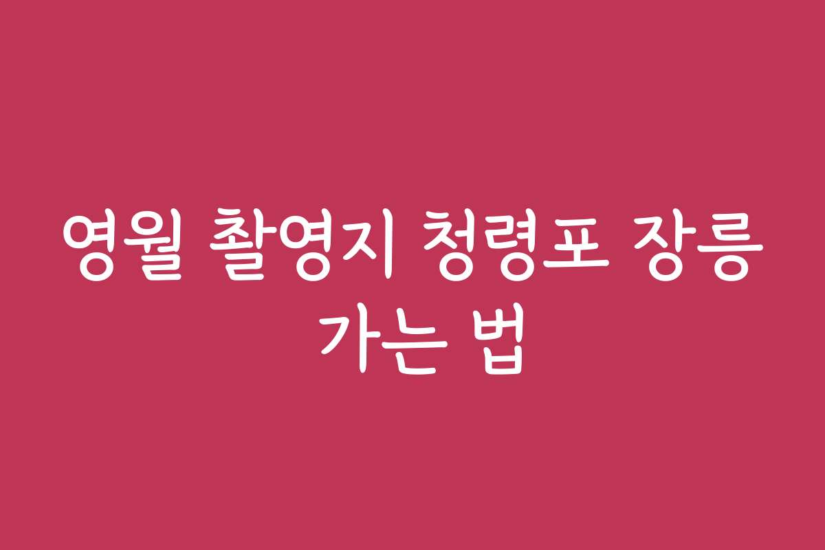영월 촬영지 청령포 장릉 가는 법