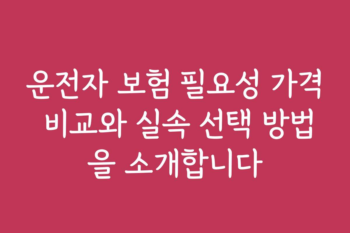 운전자 보험 필요성 가격 비교와 실속 선택 방법을 소개합니다