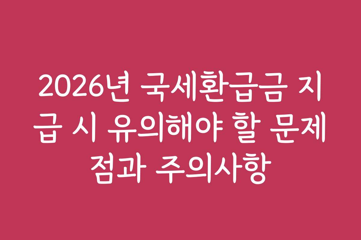 2026년 국세환급금 지급 시 유의해야 할 문제점과 주의사항