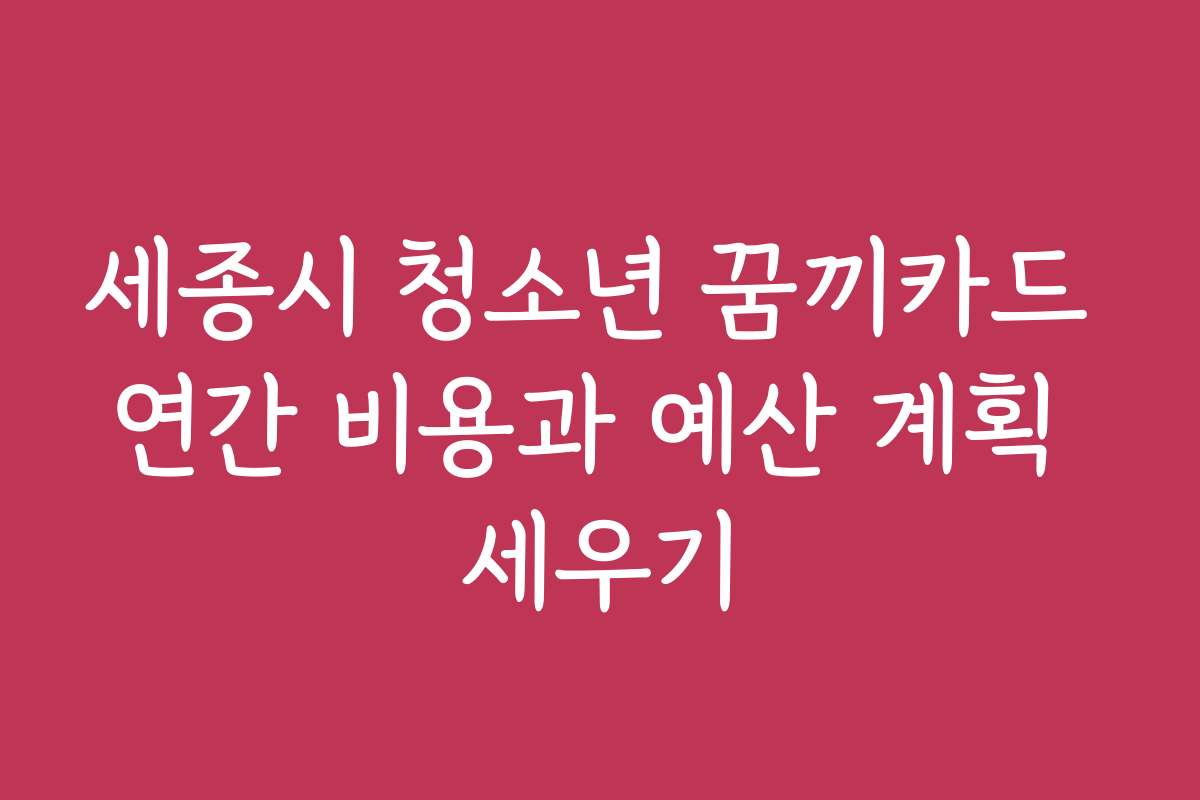 세종시 청소년 꿈끼카드 연간 비용과 예산 계획 세우기
