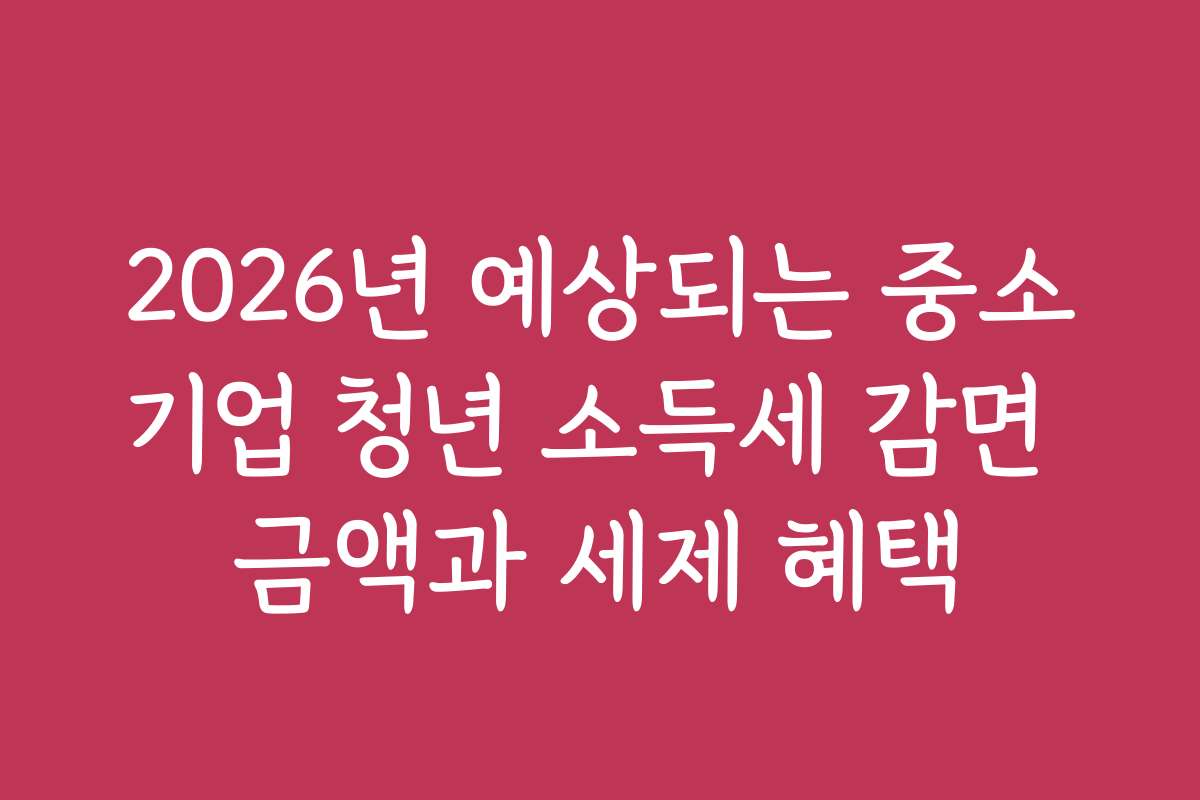 2026년 예상되는 중소기업 청년 소득세 감면 금액과 세제 혜택