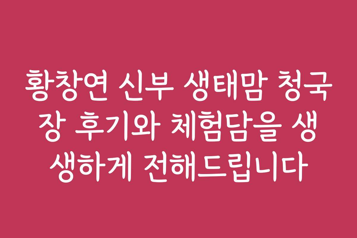 황창연 신부 생태맘 청국장 후기와 체험담을 생생하게 전해드립니다