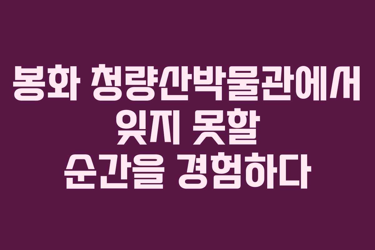 봉화 청량산박물관에서 잊지 못할 순간을 경험하다