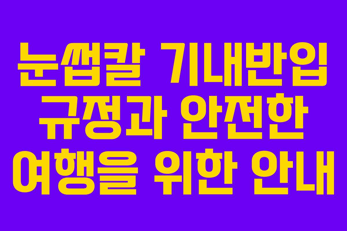 눈썹칼 기내반입 규정과 안전한 여행을 위한 안내