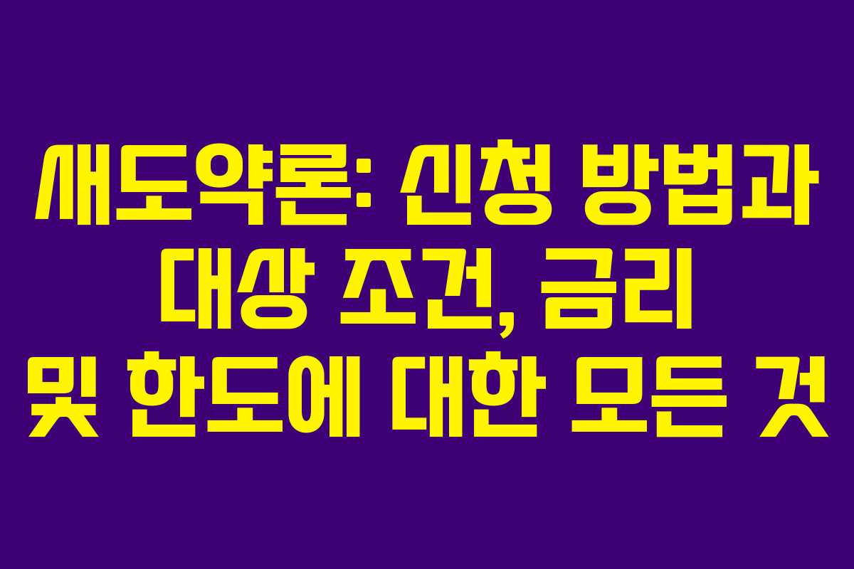 새도약론: 신청 방법과 대상 조건, 금리 및 한도에 대한 모든 것