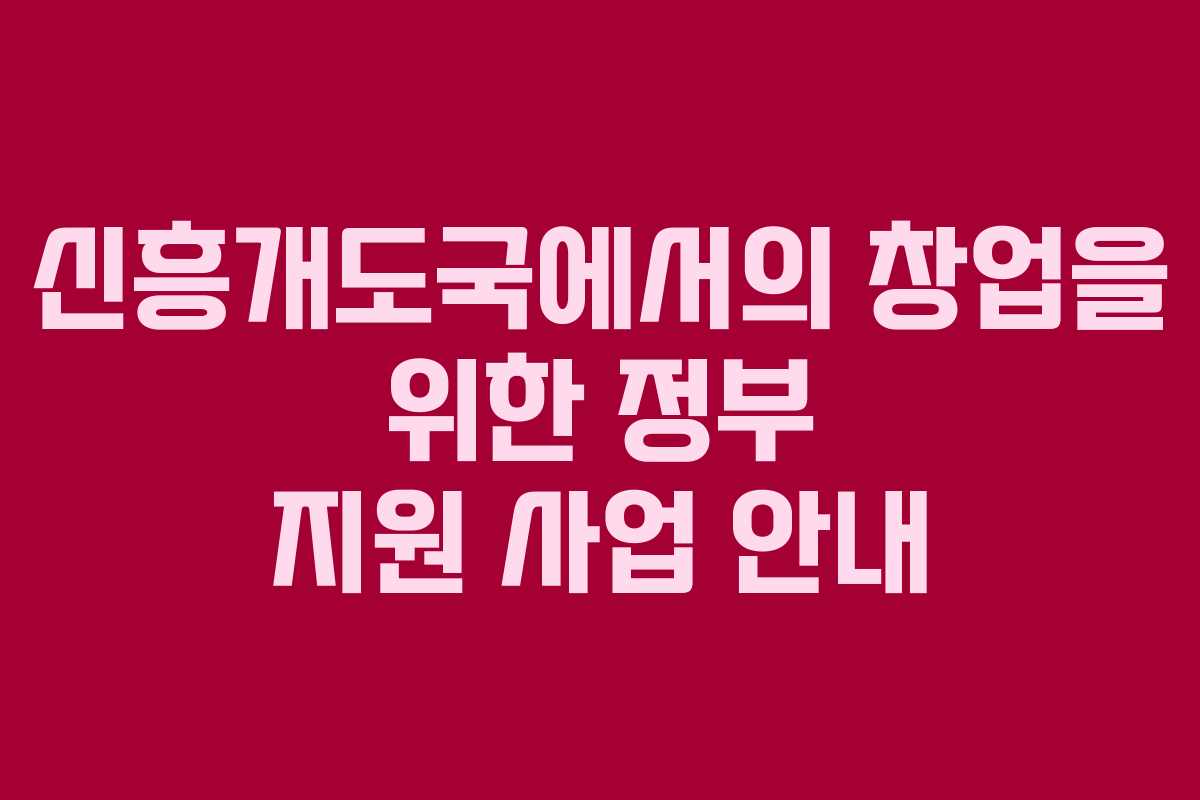 신흥개도국에서의 창업을 위한 정부 지원 사업 안내