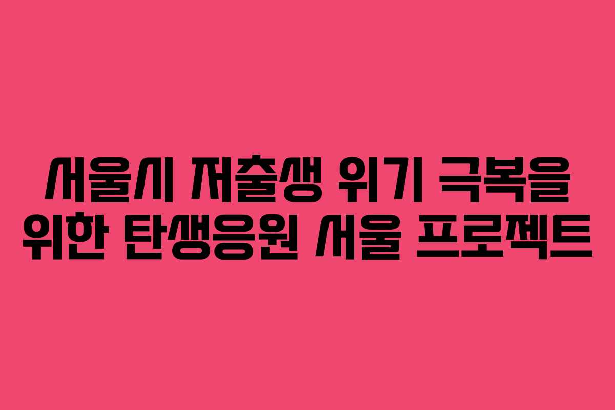 서울시 저출생 위기 극복을 위한 탄생응원 서울 프로젝트