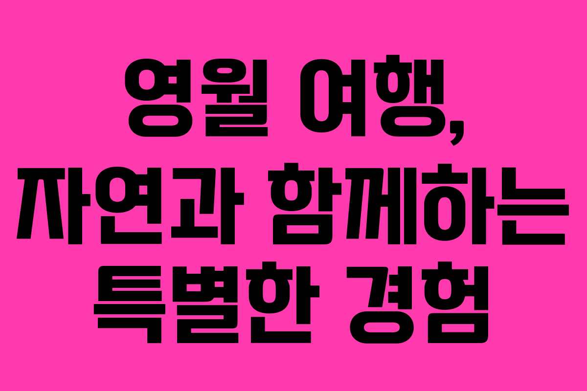 영월 여행, 자연과 함께하는 특별한 경험