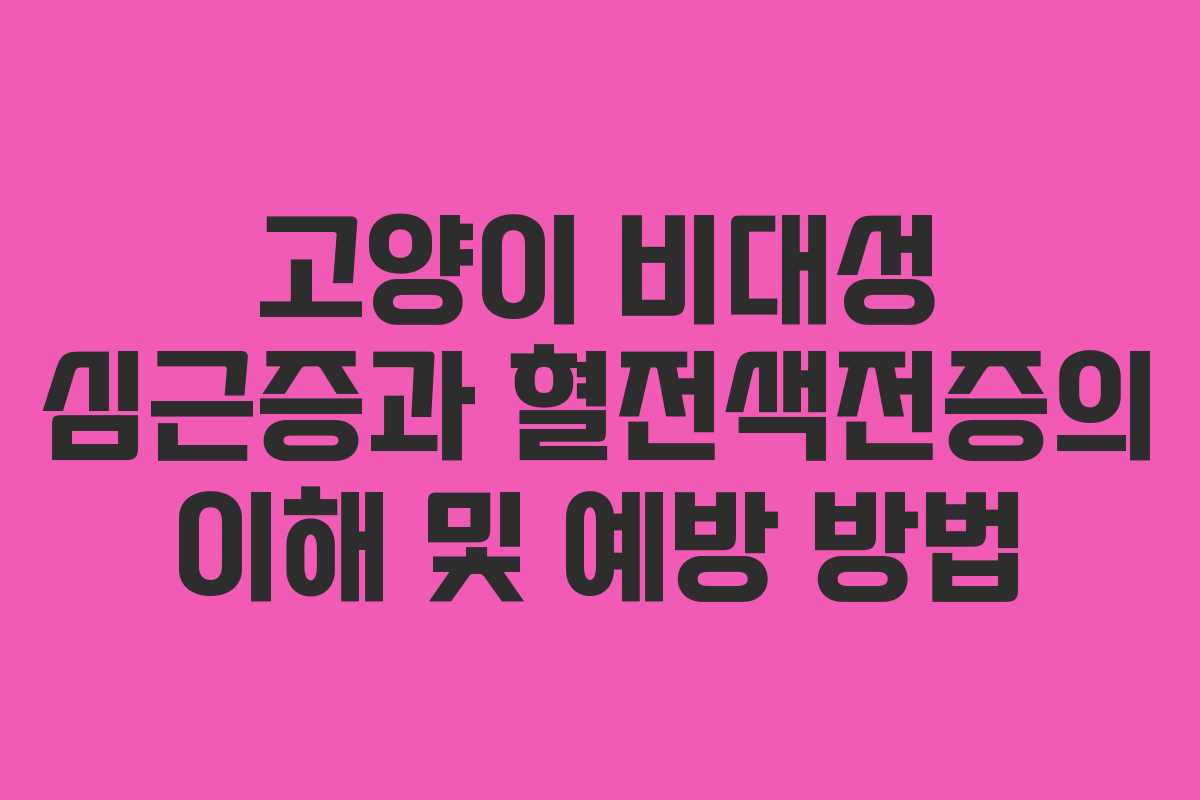 고양이 비대성 심근증과 혈전색전증의 이해 및 예방 방법