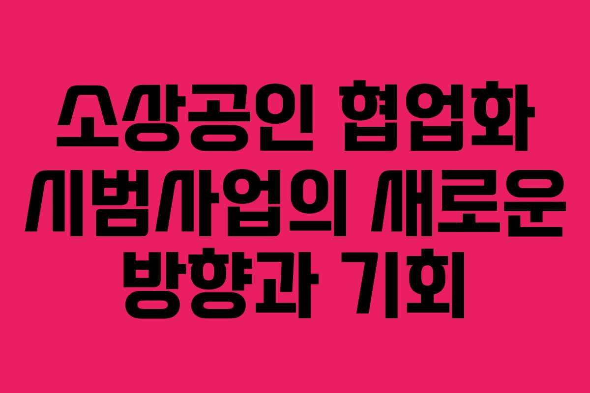 소상공인 협업화 시범사업의 새로운 방향과 기회