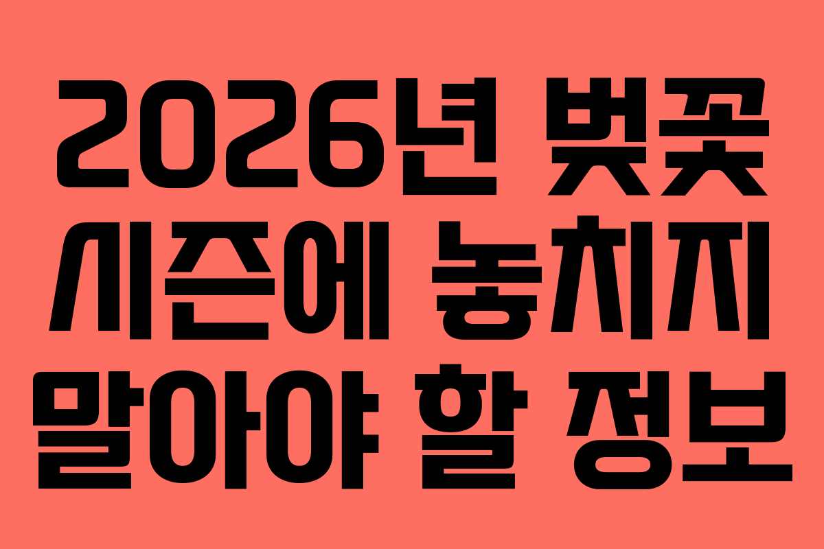 2026년 벚꽃 시즌에 놓치지 말아야 할 정보