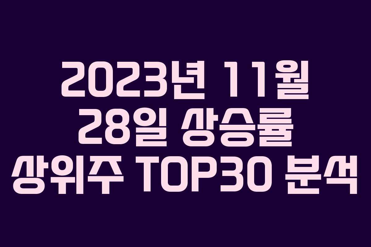 2023년 11월 28일 상승률 상위주 TOP30 분석