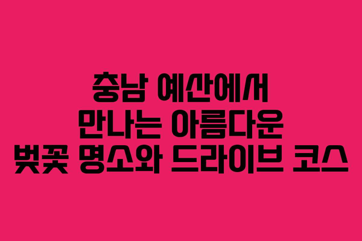 충남 예산에서 만나는 아름다운 벚꽃 명소와 드라이브 코스