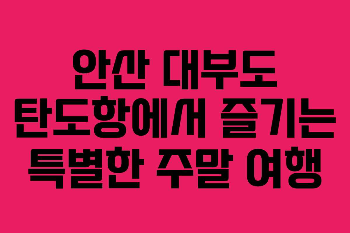 안산 대부도 탄도항에서 즐기는 특별한 주말 여행