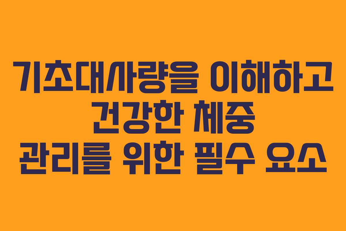 기초대사량을 이해하고 건강한 체중 관리를 위한 필수 요소