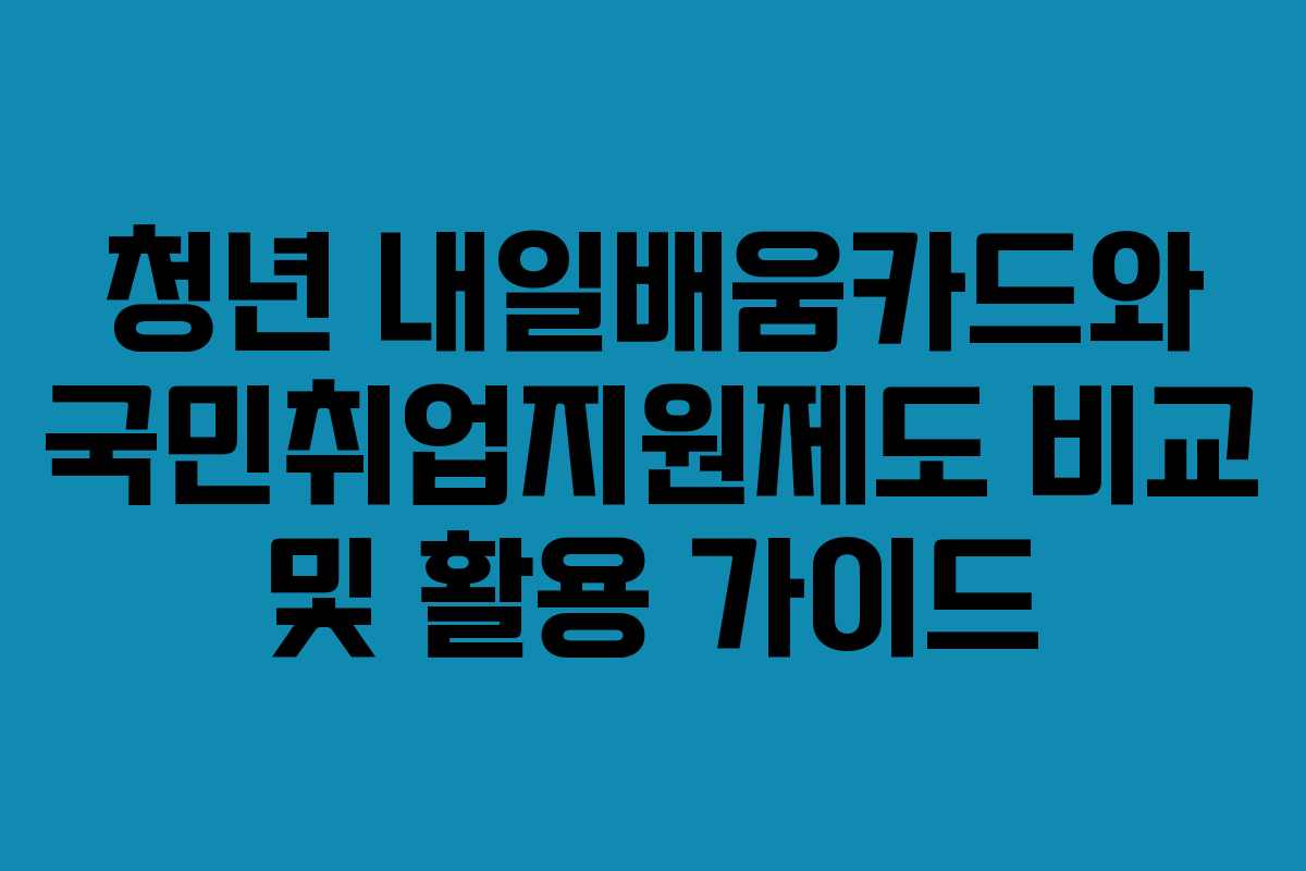 청년 내일배움카드와 국민취업지원제도 비교 및 활용 가이드
