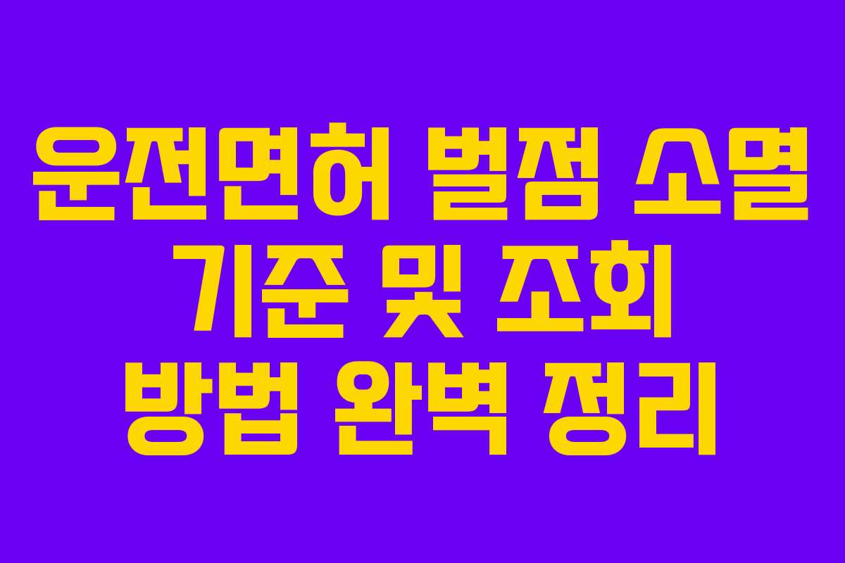 운전면허 벌점 소멸 기준 및 조회 방법 완벽 정리