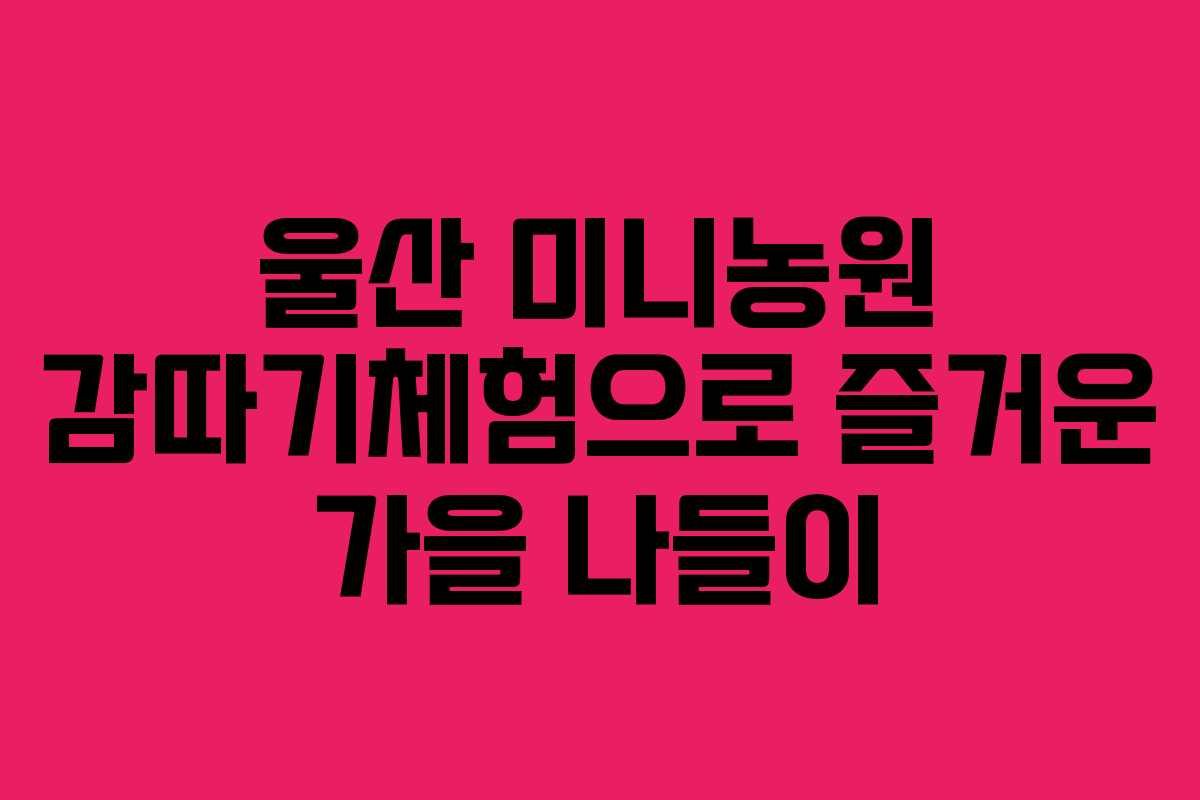 울산 미니농원 감따기체험으로 즐거운 가을 나들이