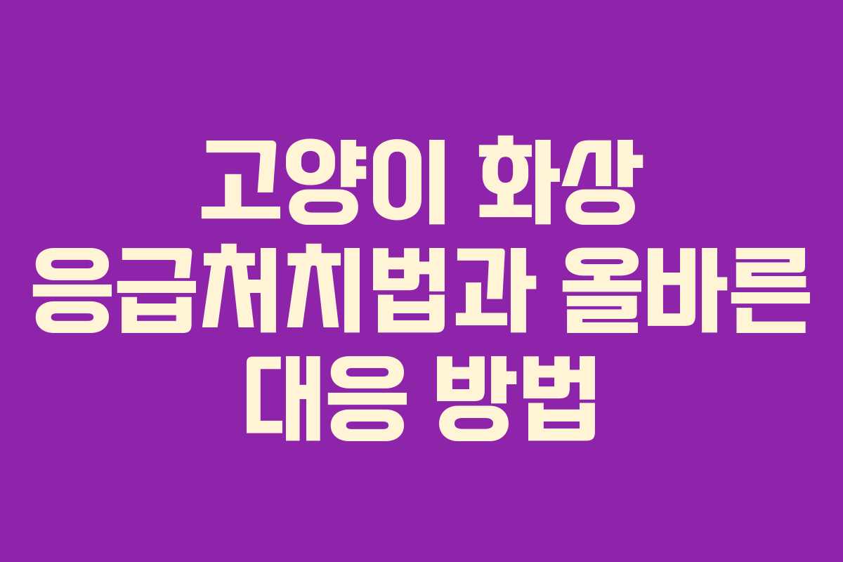 고양이 화상 응급처치법과 올바른 대응 방법