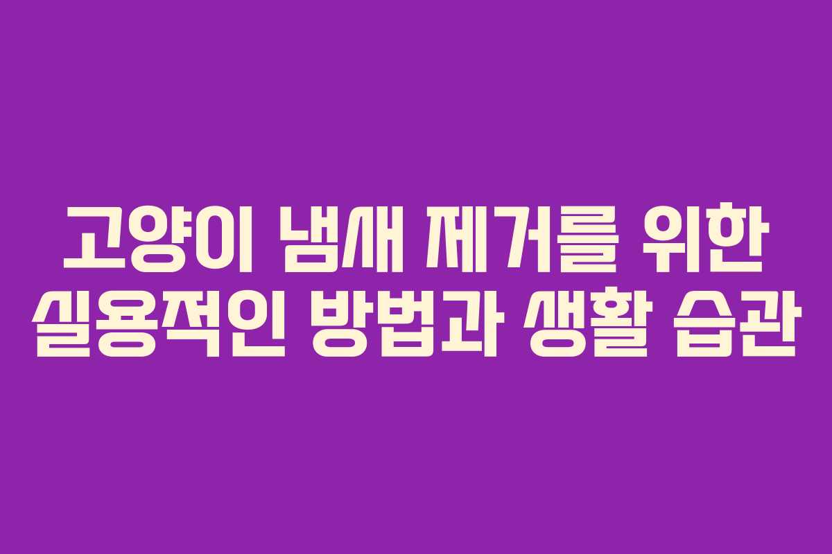 고양이 냄새 제거를 위한 실용적인 방법과 생활 습관
