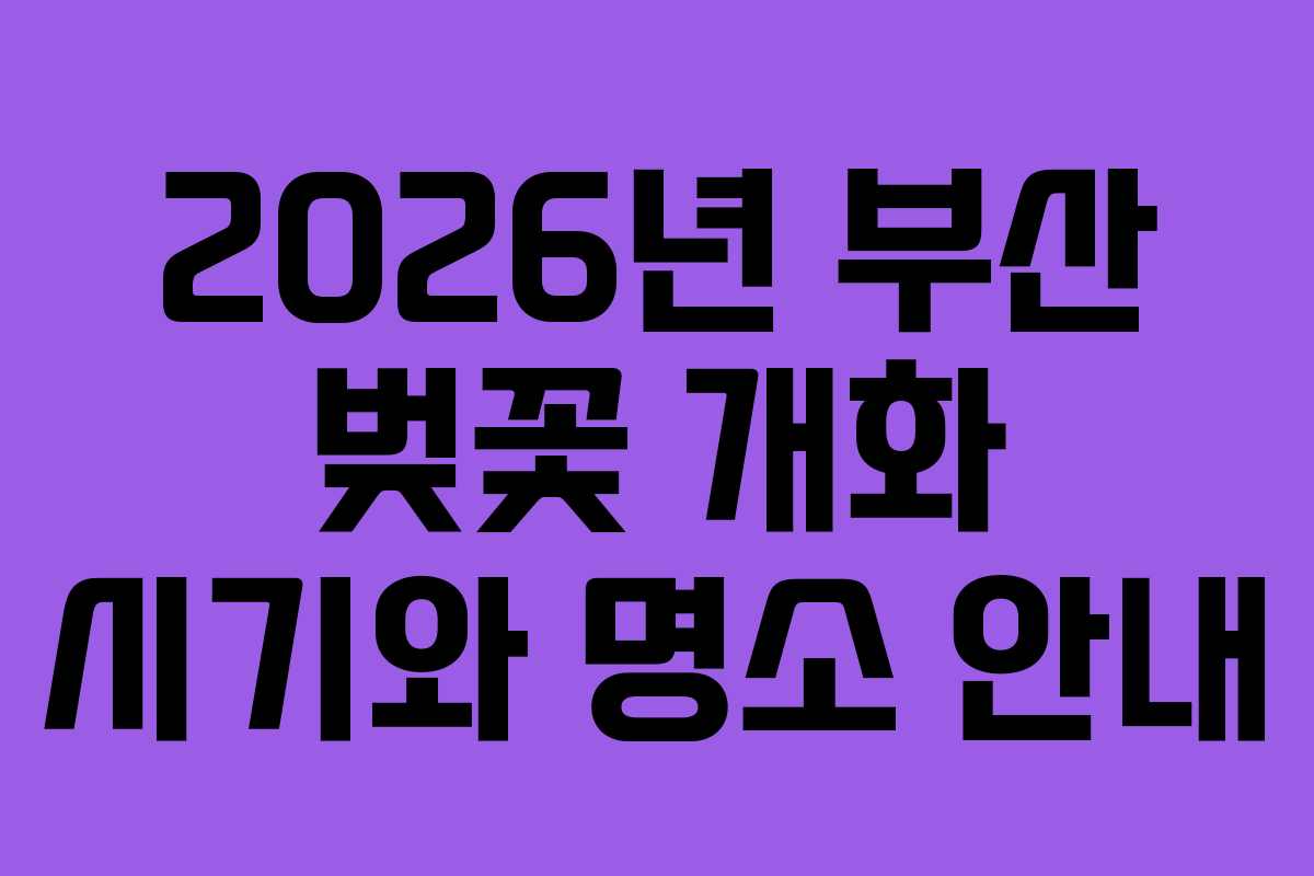 2026년 부산 벚꽃 개화 시기와 명소 안내
