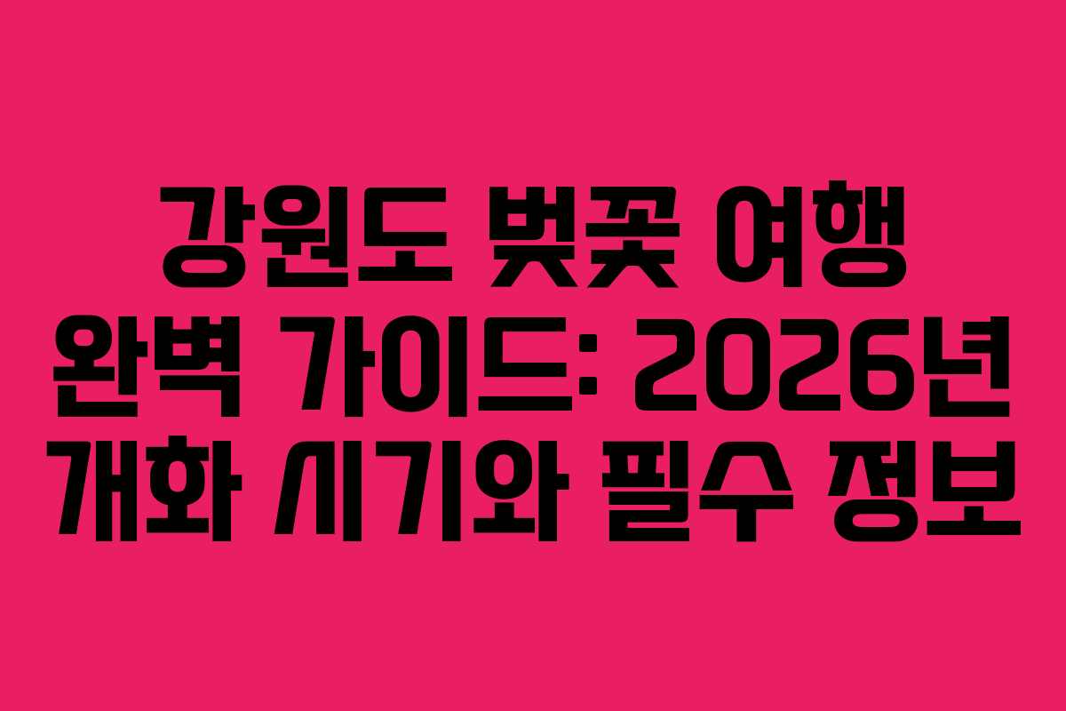강원도-벚꽃-여행-완벽-가이드-2026년-개화-시기와-필수-정보