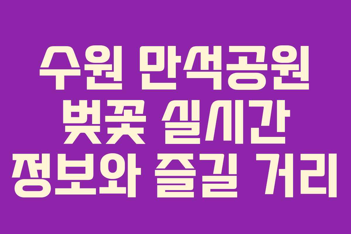 수원-만석공원-벚꽃-실시간-정보와-즐길-거리
