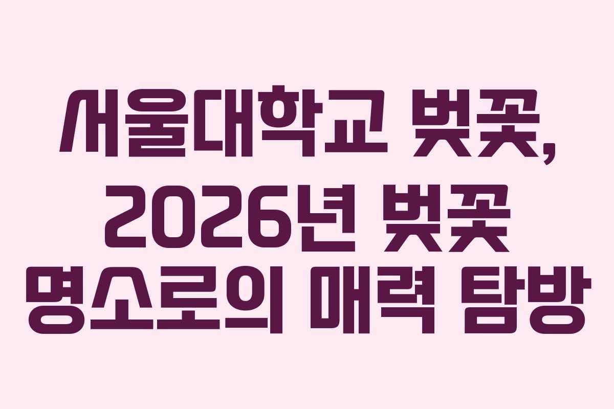 서울대학교-벚꽃,-2026년-벚꽃-명소로의-매력-탐방