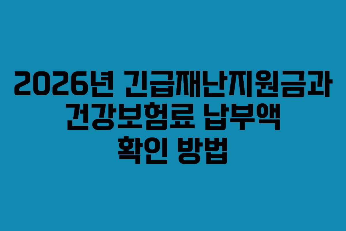 2026년-긴급재난지원금과-건강보험료-납부액-확인-방법