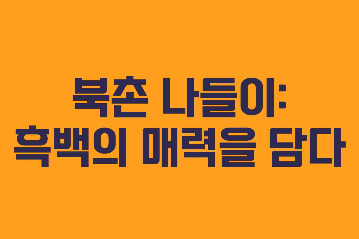 북촌-나들이-흑백의-매력을-담다