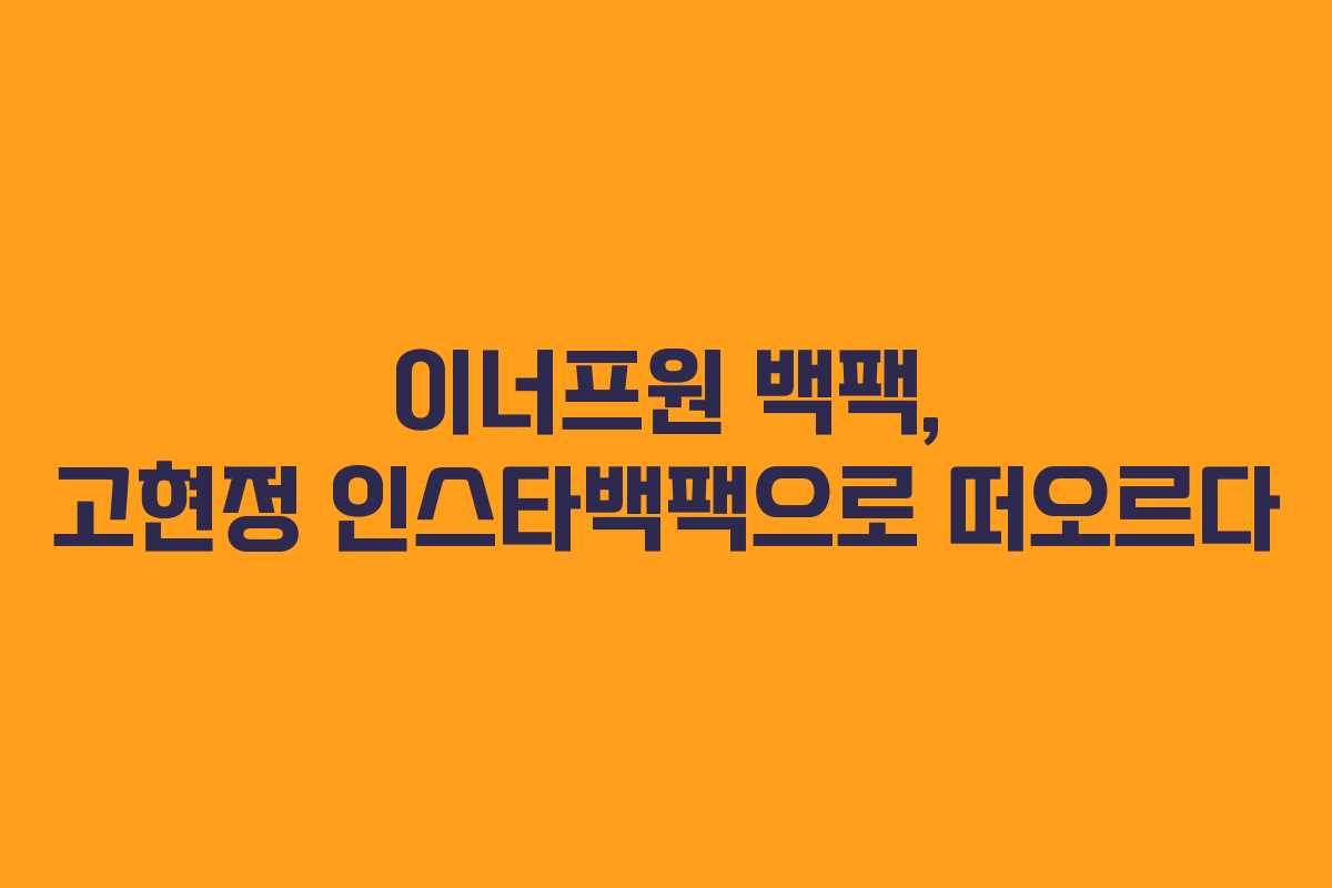 이너프원 백팩, 고현정 인스타백팩으로 떠오르다
