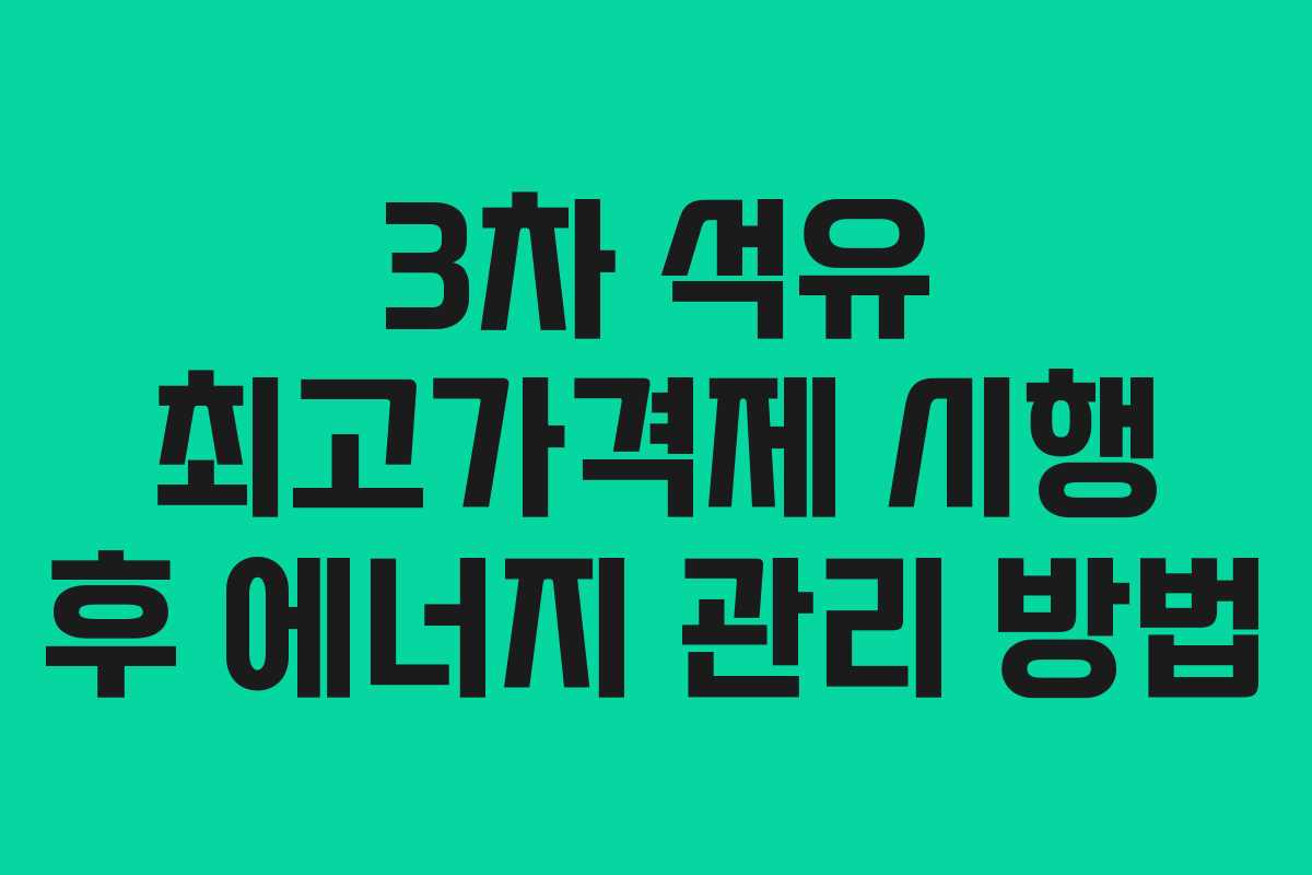 3차 석유 최고가격제 시행 후 에너지 관리 방법