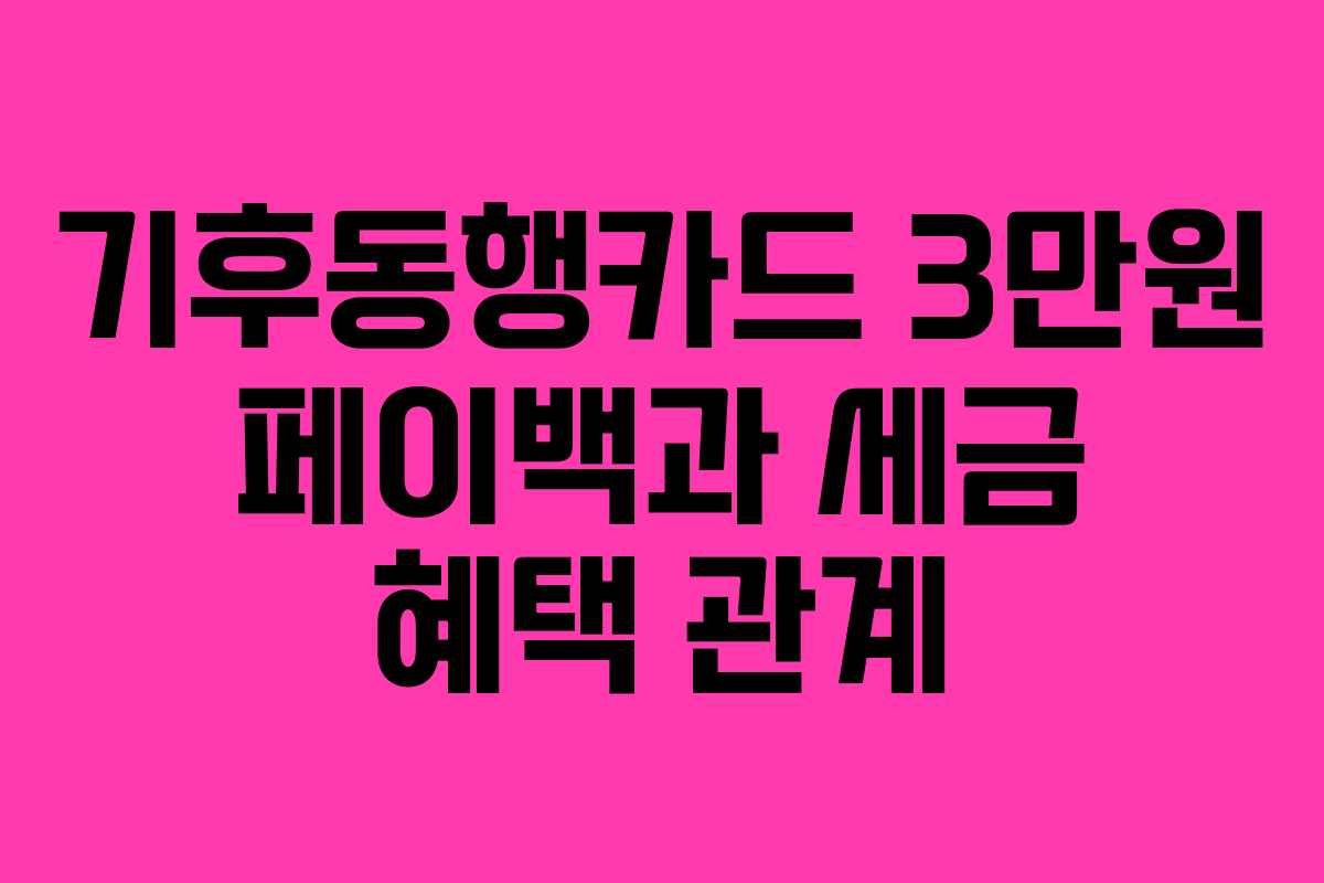 기후동행카드 3만원 페이백과 세금 혜택 관계