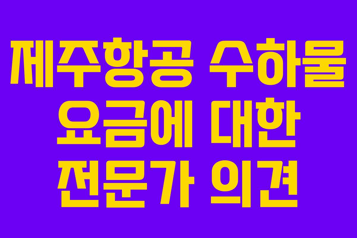 제주항공 수하물 요금에 대한 전문가 의견