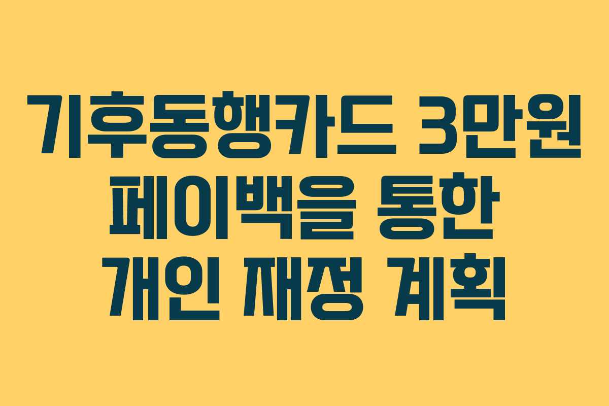 기후동행카드 3만원 페이백을 통한 개인 재정 계획