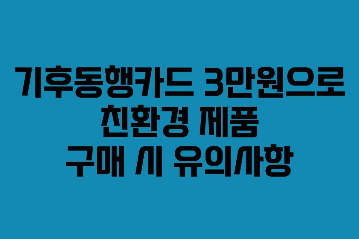 기후동행카드 3만원으로 친환경 제품 구매 시 유의사항