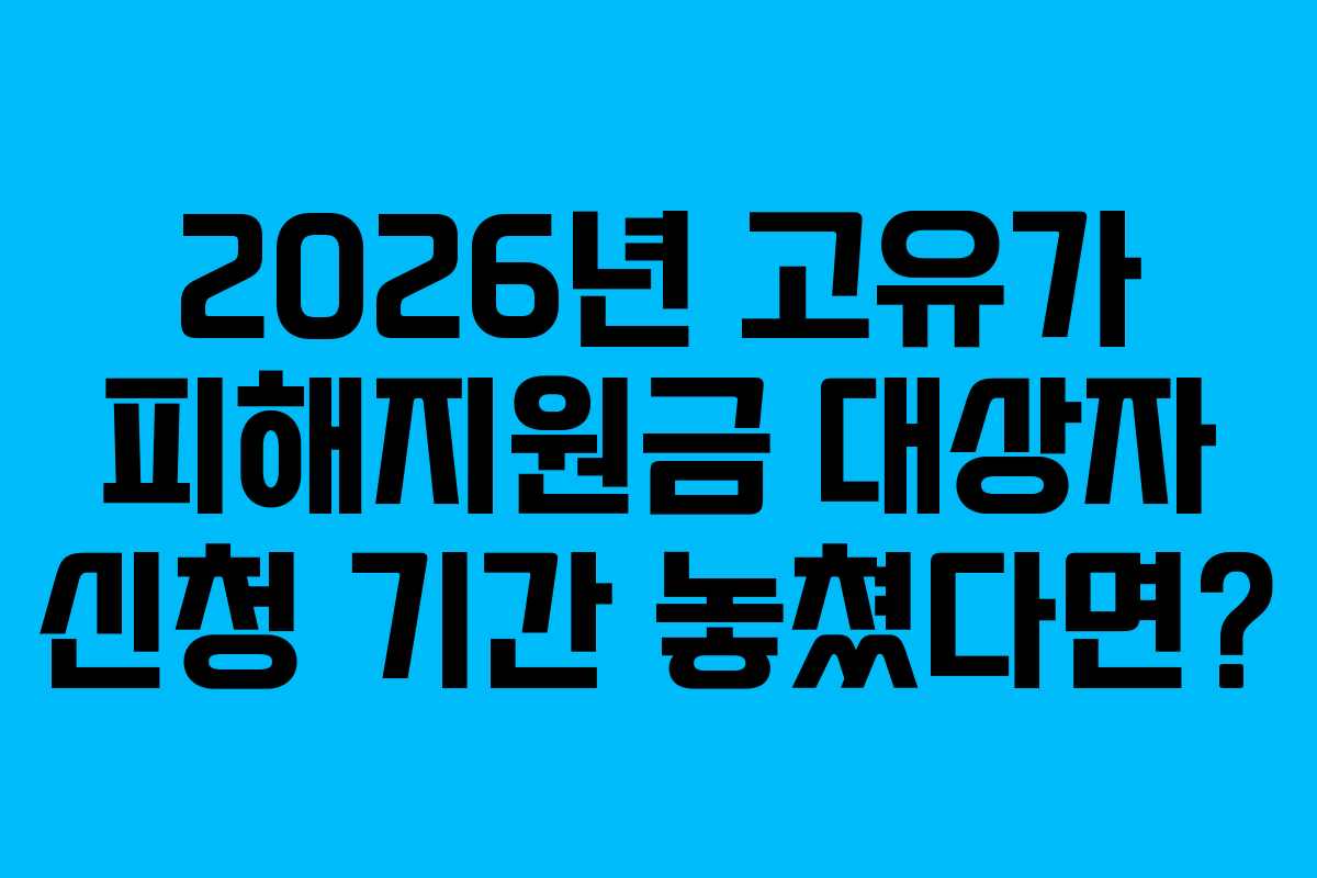2026년 고유가 피해지원금 대상자 신청 기간 놓쳤다면?
