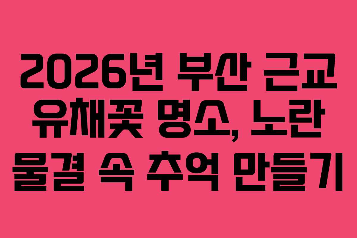 2026년 부산 근교 유채꽃 명소, 노란 물결 속 추억 만들기
